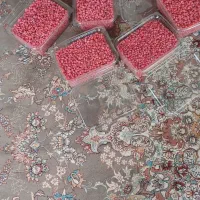 زرشک تازه دانه شده|خوردنی و آشامیدنی|مشهد, ترمینال|دیوار