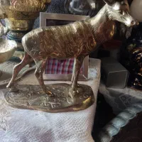 کلکسیونی