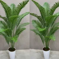 درختچه کنار سالنی