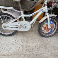 دوچرخه ۱۶ راپیدو