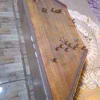 سنتور