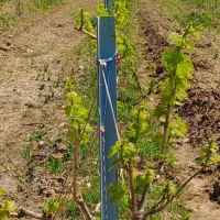 باغ|فروش خانه و ویلا|ماکو, |دیوار