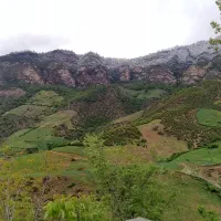 ویلا-اجاره-ای-نزدیک-جنگل