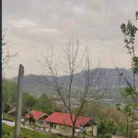 زمین