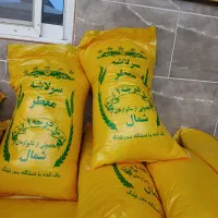 کشت ۲هاشمی ۳۱۰و کشت اول ۲۶۰و فجر ۱۷۳و لاشه ۱۷۰ت|خوردنی و آشامیدنی|آمل, |دیوار