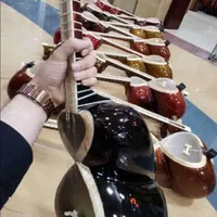تار سه تار (دیوان ایلماز با اکولایزر پرینر)|سازهای سنتی|شیراز, سینما سعدی|دیوار