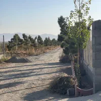 سرمایه گذاری ۳۳۰متری شهرکی  سهیلیه|فروش زمین و ملک کلنگی|محمدشهر, زیبادشت|دیوار