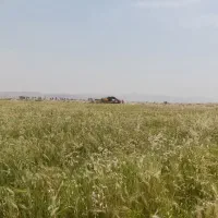 اجاره ۱۰ هکتارزمین کشاورزی
