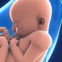 نوبت ویزیت تلفنی دکتر متخصص زنان زایمان نازایی