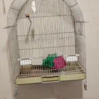 قفس پرندگان تکمیل|لوازم جانبی حیوانات|بوکان, |دیوار