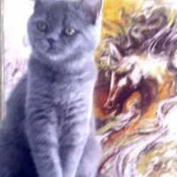 گمشده در حوالی نوبنیاد خیابان ارگ