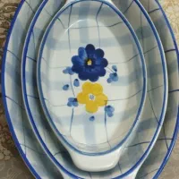 مرغ خوری گل پنبه زیبا