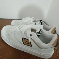 کفش FREEDAY|کیف، کفش، کمربند|چرداول, |دیوار