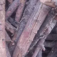 فروش چوب خشک و تر
