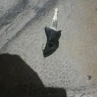 پیدا شده