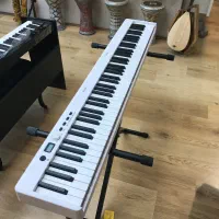 پیانو تاشو|پیانو، کیبورد، آکاردئون|ساری, |دیوار