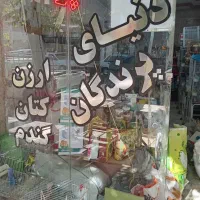 فروش قفس مرغی|لوازم جانبی حیوانات|گلپایگان, |دیوار