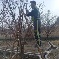 کلیه کارهای باغبانی وسم پاش وتیلرزنی وگل کاری هرس