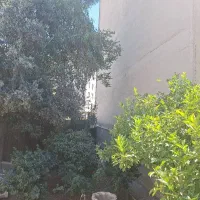 فرصت ویژه سرمایه‌گذاری ملک کلنگی ۳۱۱ متری دوبر
