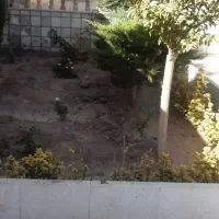 کلیه کارهای باغبانی درکوهپایه|خدمات باغبانی و درختکاری|کرمان, |دیوار