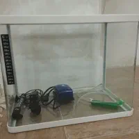 آکواریوم شیشه خم شرکتی