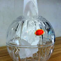 جا دستمال شیشه ای|ظروف نگهدارنده، پلاستیکی، یک‌بارمصرف|فردیس, فردیس|دیوار