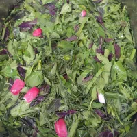 فروش سبزی خوردن آماده