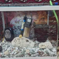 آکواریوم شرکتی شیشه خم با لوازم