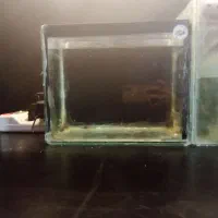 آکواریوم 150 فوری