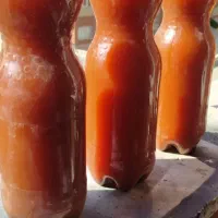 ابغوره از دیار لرستان