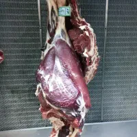 تامین کننده گوشت گوسفندی و گوساله قیمت مناسب