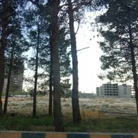 زمین 1546 متری داخل بافت اسلامشهر