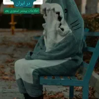 تولیدی پتو کوسه ای