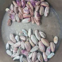 انواع پسته و مغز پسته موجود هست|خوردنی و آشامیدنی|بلداجی, |دیوار