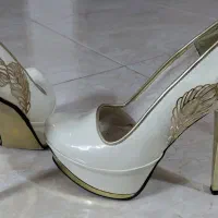 کفش مجلسی