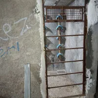 در و پنجره