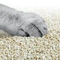 فروش خاک گربه فقط عمده