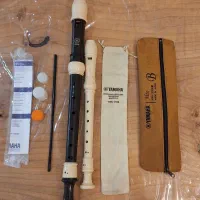 فلوت ریکوردر