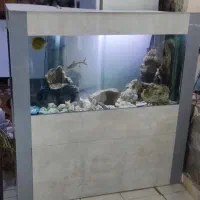 اکواریوم120