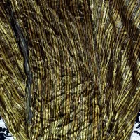 لباس محلی|لباس|یاسوج, |دیوار