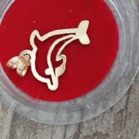 پلاک ۲۷۰سوت و زنجیر ۱گرم ۸۰۰