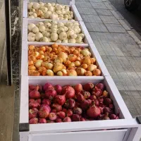 قفسه و پالت میوه