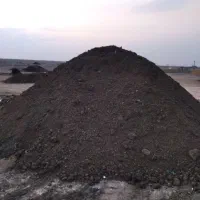 کودگاوی