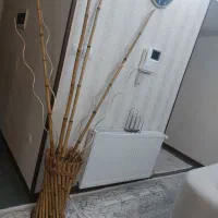 تزئینی و دکوری