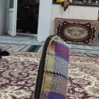 کیف پیداشده|اشیا|قم, نیروگاه|دیوار