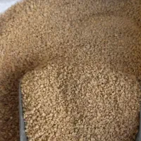 دان سوپر استارتر