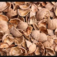 خریدار پوست گردو به بالاترین قیمت