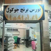 برنج هاشمی / علی کاظمی / صدری /نیم دانه / لاشه