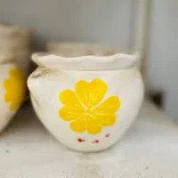 گلدان بنفشه آفریقایی