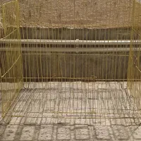 قفس پرنده سالم